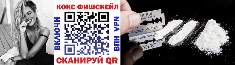 продажа наркотиков  Новоалександровск  Cocaine Fish Scale 