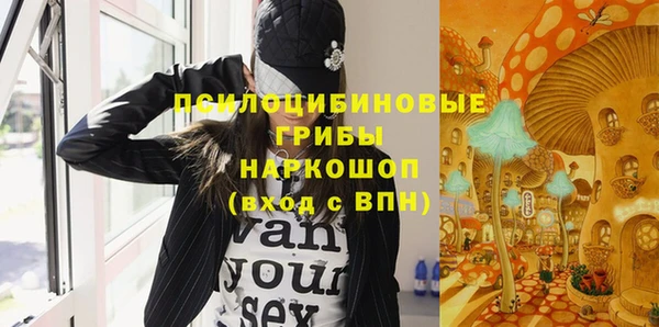 экстази Михайлов