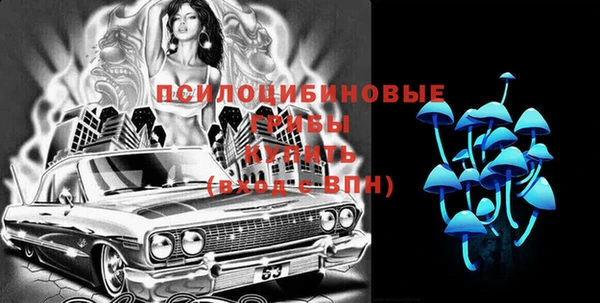 стаф Медногорск