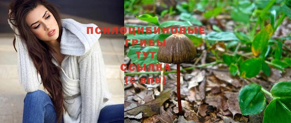 герыч Мегион
