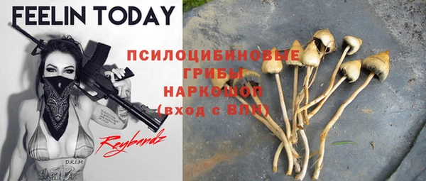 стаф Медногорск