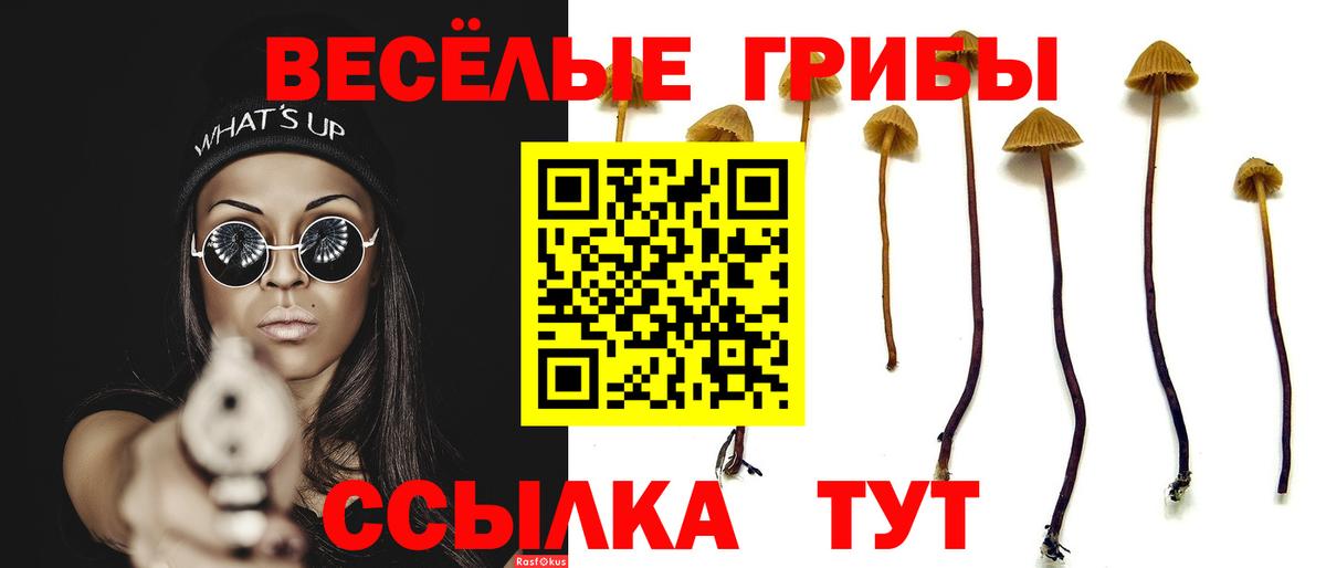 Псилоцибиновые грибы Psilocybine cubensis  Псилоцибиновые грибы Magic Shrooms  Вход с VPN  Новоалександровск 